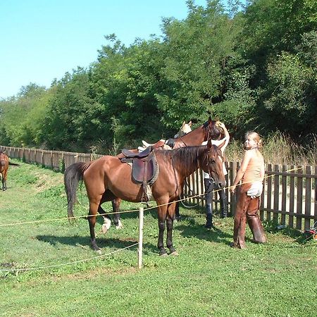 Kisecset-vendégház Esterno foto
