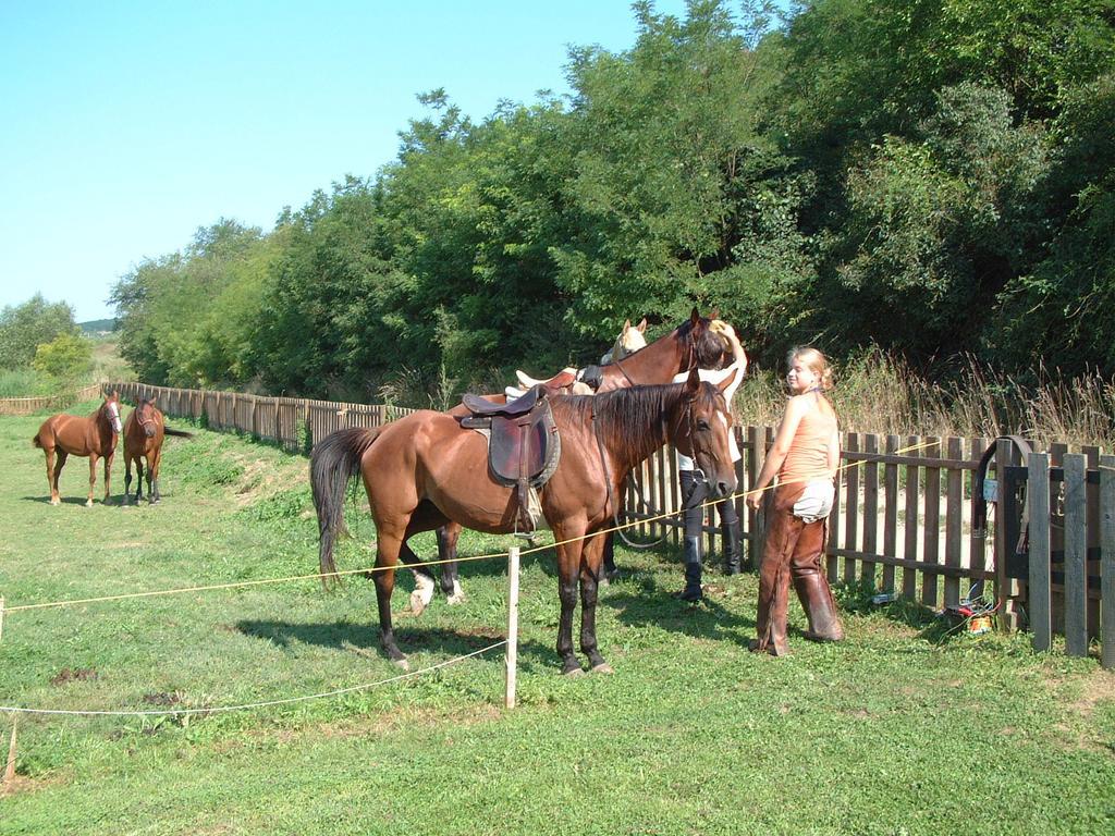 Kisecset-vendégház Esterno foto